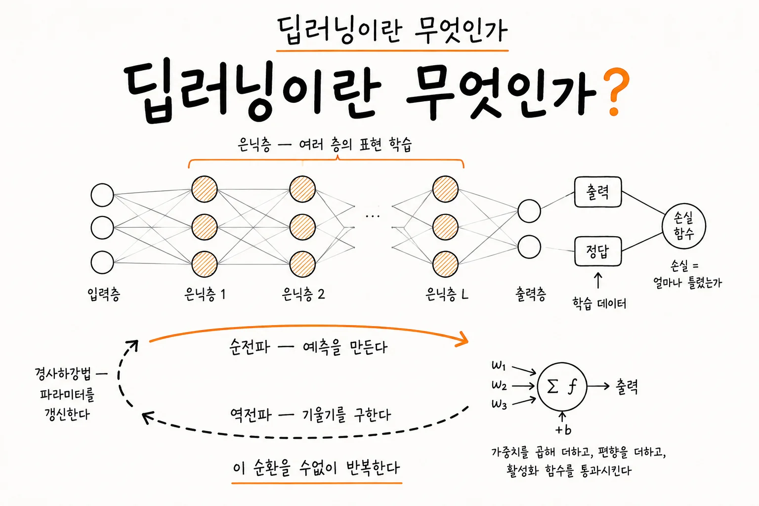 딥러닝의 전체 구조를 한 장에 정리한 손그림 도해. 입력층에서 여러 은닉층을 거쳐 출력층으로 이어지는 신경망, 출력과 정답을 비교하는 손실 함수, 순전파와 역전파가 이루는 학습 순환, 노드 하나가 가중치와 편향을 거쳐 활성화 함수를 통과하는 과정을 함께 담았다.