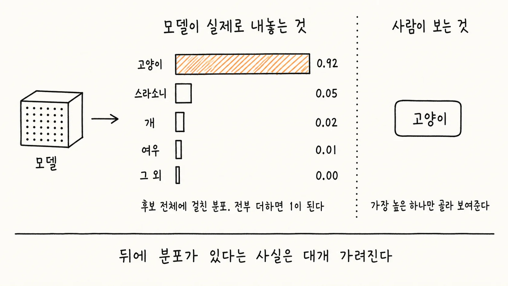 모델이 실제로 내놓는 것과 사람이 보는 것을 좌우로 비교한 손그림 도해. 왼쪽에는 점이 격자로 박힌 입체 상자가 모델을 나타내고, 화살표가 가로 막대 그래프로 이어진다. 그래프에는 위에서부터 고양이 0.92, 스라소니 0.05, 개 0.02, 여우 0.01, 그 외 0.00이 적혀 있고, 맨 위 고양이 막대만 압도적으로 길며 빗금으로 채워져 있고 나머지는 매우 짧다. 그래프 아래에는 후보 전체에 걸친 분포이며 전부 더하면 1이 된다고 적혀 있다. 오른쪽에는 점선으로 구분된 자리에 고양이라고만 적힌 상자 하나가 놓여 있고, 가장 높은 하나만 골라 보여준다고 설명되어 있다.